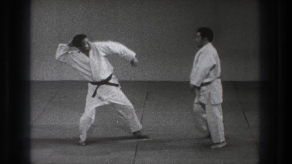 The same Tokyo martial-arts setup shows the demonstrator turned sideways in a wide stance while the second man stands nearby.
