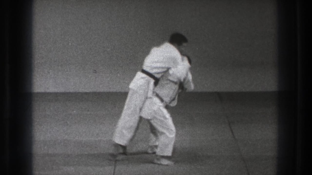 A black-belt practitioner turns into his partner during a martial arts throw.