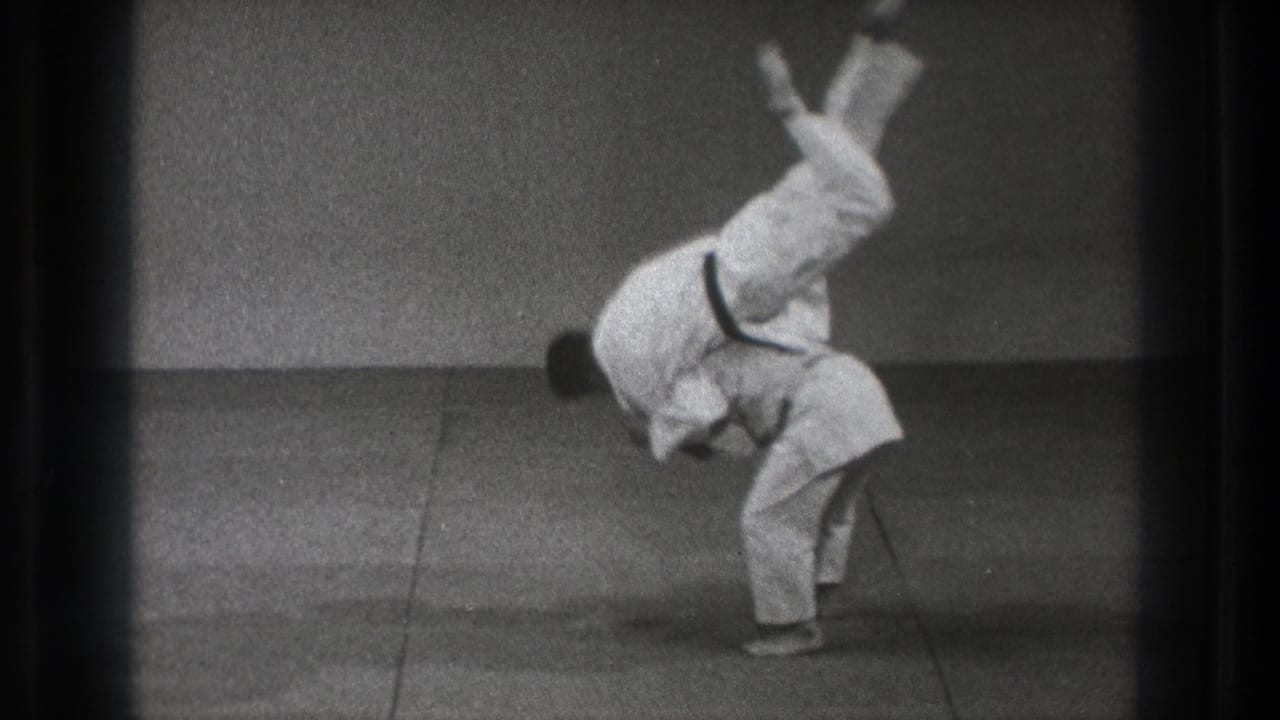 One martial artist flips upside down over another during a throw.