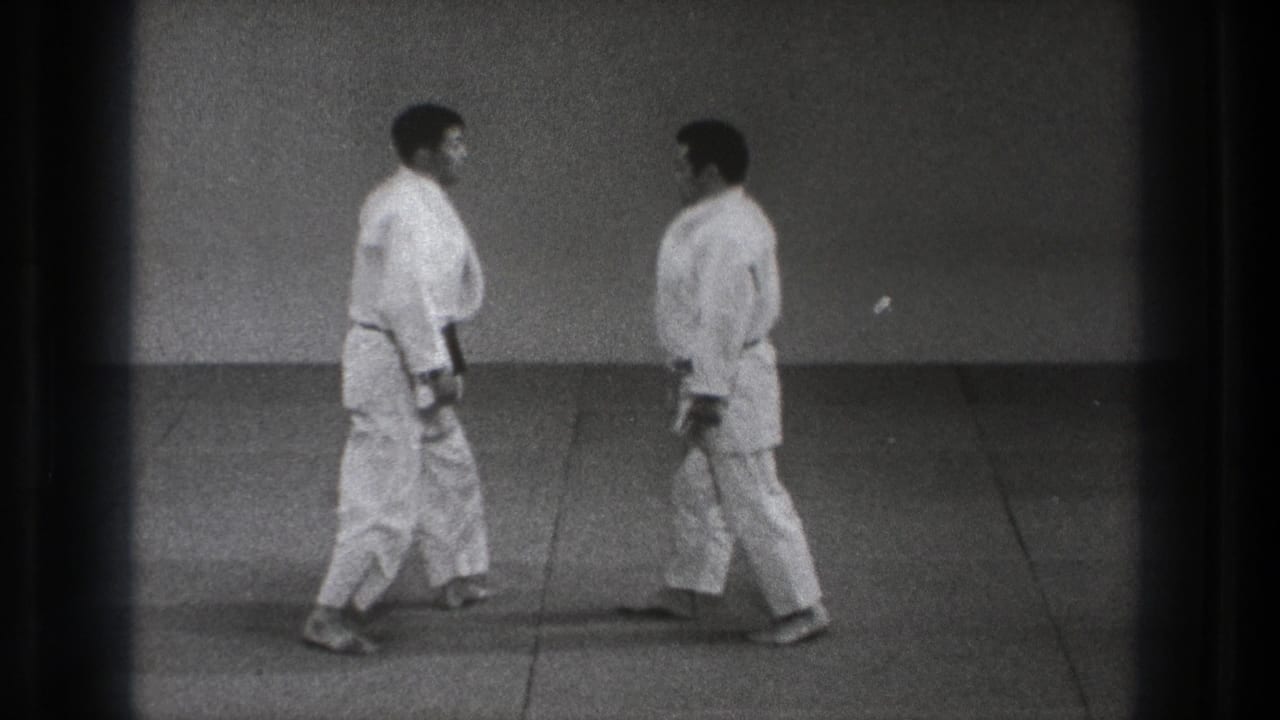 Two adult martial arts practitioners stand facing each other on the tatami in a simple Tokyo dojo setting.