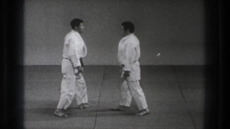 Two adult martial arts practitioners stand facing each other on the tatami in a simple Tokyo dojo setting.