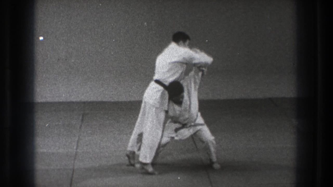One adult practitioner bends low under the other's arm as the karate demonstration moves into a lowered, controlled position.