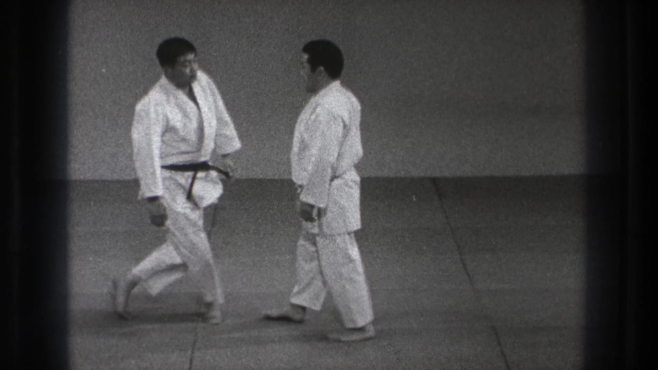 Two adult judo practitioners in white gi stand face to face on the mat after the demonstration sequence.