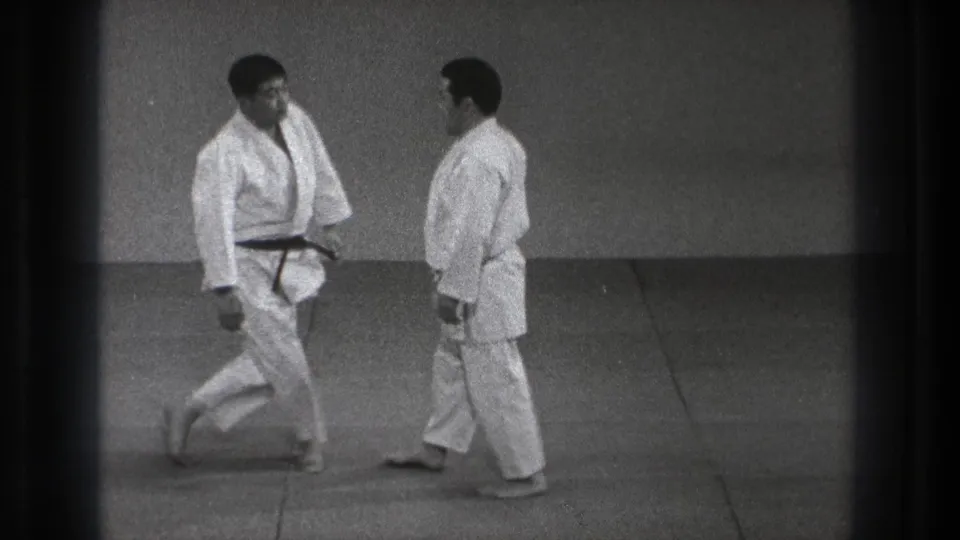 Two adult judo practitioners in white gi stand face to face on the mat after the demonstration sequence.