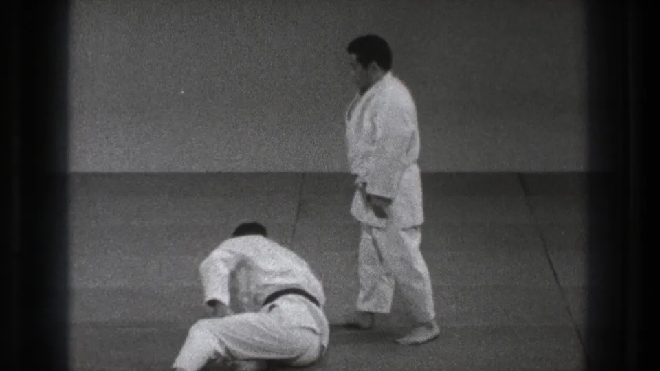At the end of the short demonstration, one judo practitioner is down on the mat while the other stands beside him.