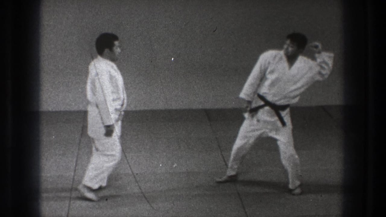 The black-belt participant raises an arm in a striking or blocking motion as his partner observes on the dojo mat.