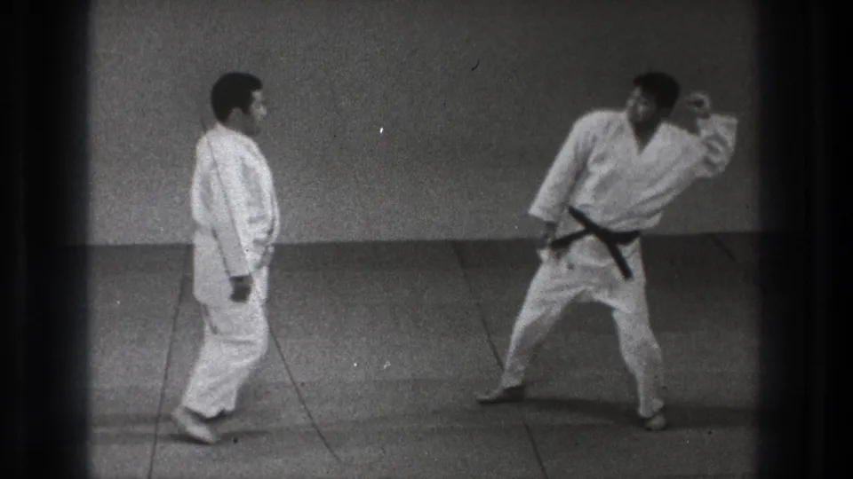 The black-belt participant raises an arm in a striking or blocking motion as his partner observes on the dojo mat.