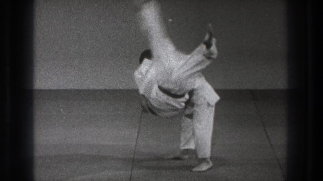The demonstration reaches the throw finish, with one practitioner inverted and descending toward the mat while the other maintains control.