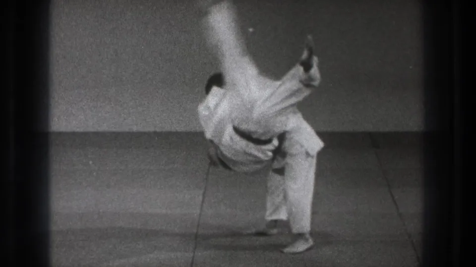 The demonstration reaches the throw finish, with one practitioner inverted and descending toward the mat while the other maintains control.