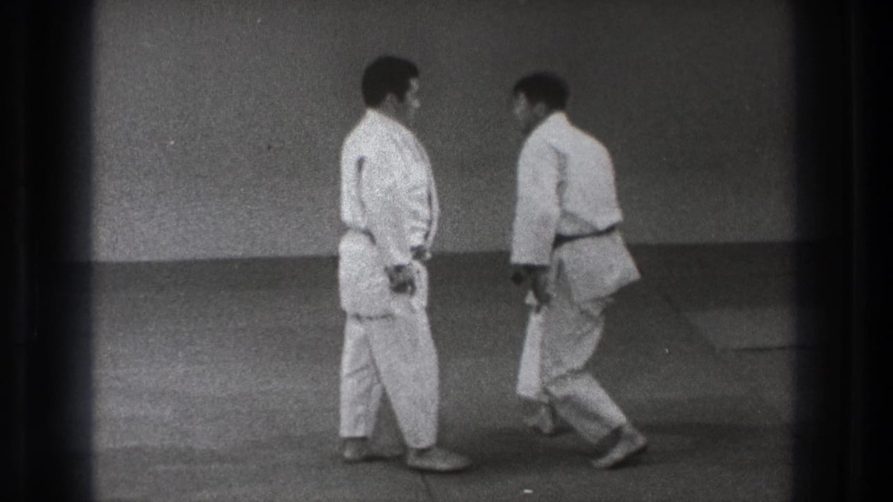 The two adult practitioners face each other on the mat after completing the short karate throw and recovery sequence.