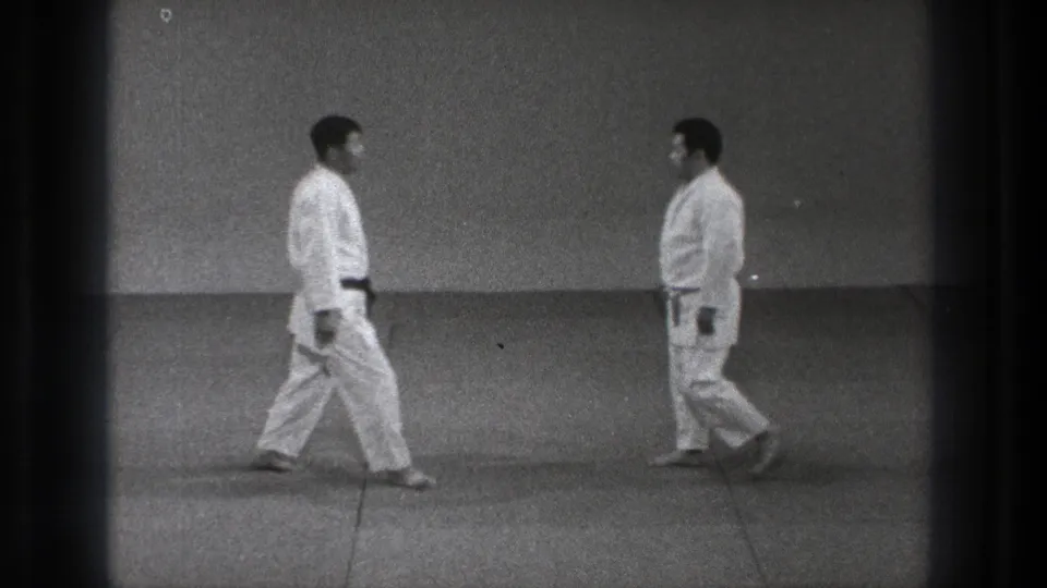 Two judo practitioners stand nearly face to face on the mat, ready to begin a technique demonstration.