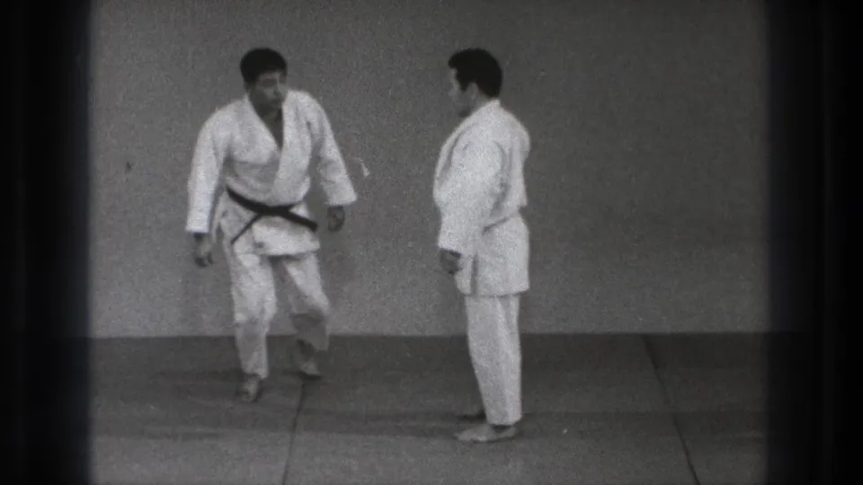 Two adult practitioners in gi face each other on the mat, appearing to reset or bow after the judo technique.