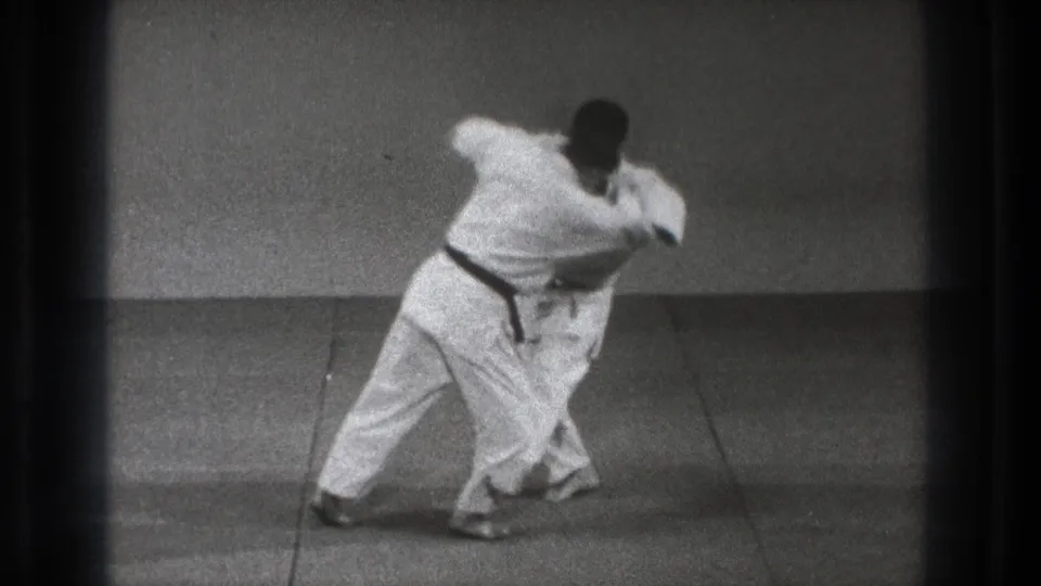 Near the end of the demonstration, one practitioner drives through the throw as the other is drawn across the mat.