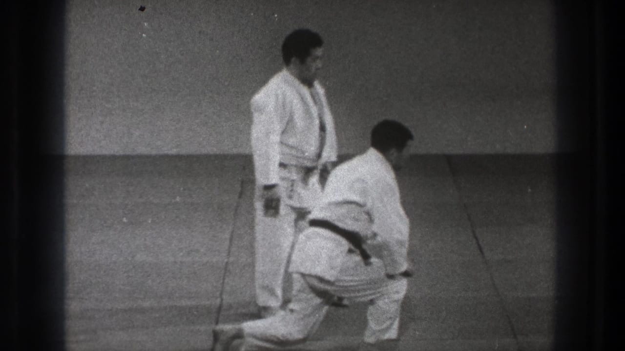 One adult practitioner rises from a kneeling position while another stands in profile on the mat in the Tokyo training scene.