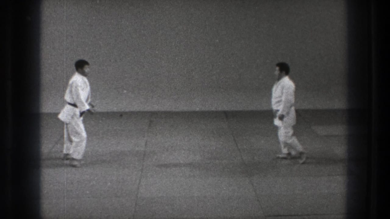 The practitioners face one another in white gi on a plain mat, with dark 8mm frame edges around the dojo scene.