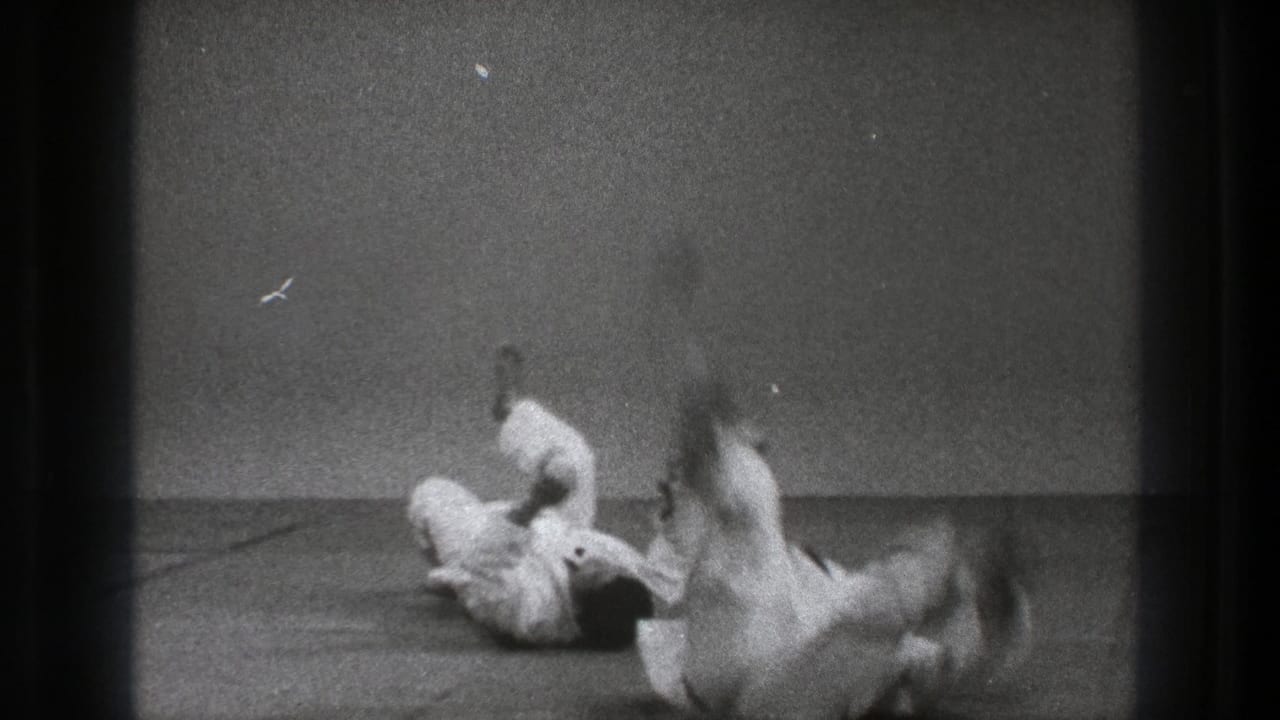 A judo throw is seen mid-action, with one practitioner falling across the mat and the other seated or turning nearby.