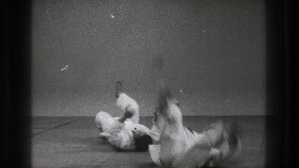 A judo throw is seen mid-action, with one practitioner falling across the mat and the other seated or turning nearby.