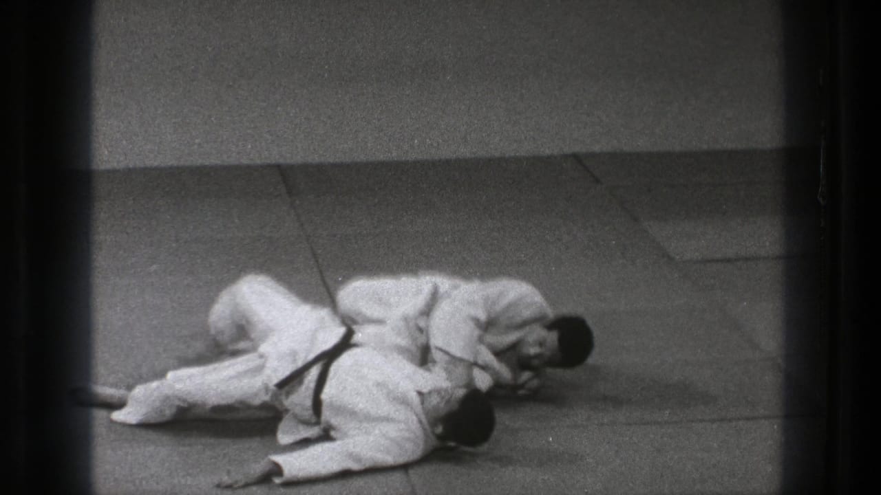 The throw has taken one practitioner to the tatami as the other maintains close control during the martial arts demonstration.