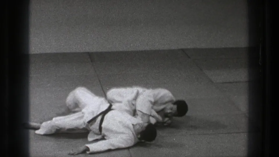 The throw has taken one practitioner to the tatami as the other maintains close control during the martial arts demonstration.