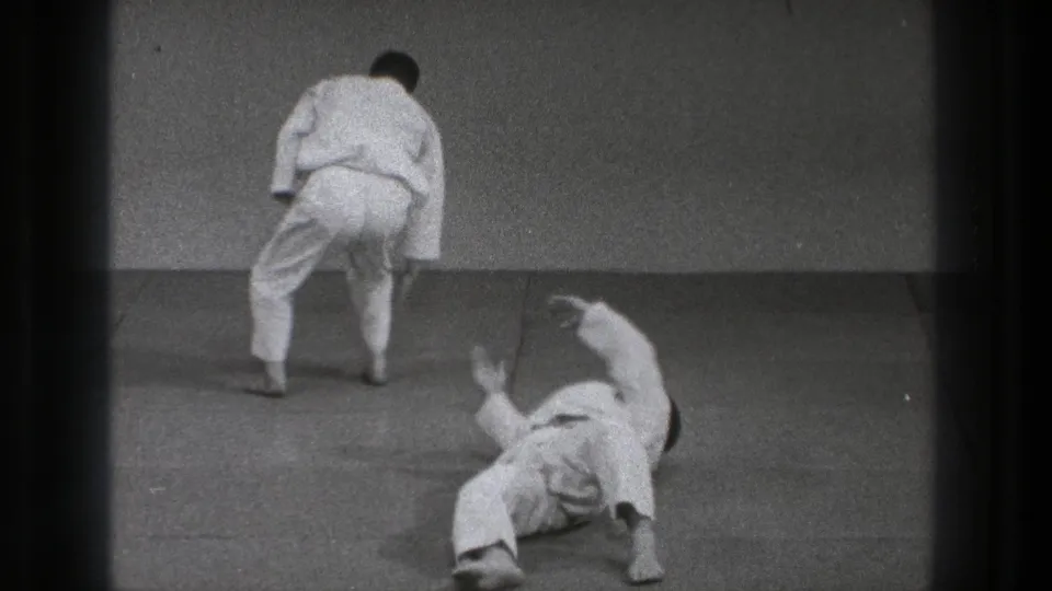 At the end of the visible technique, one practitioner stands on the mat while the other lies back after the throw in the Tokyo training room.