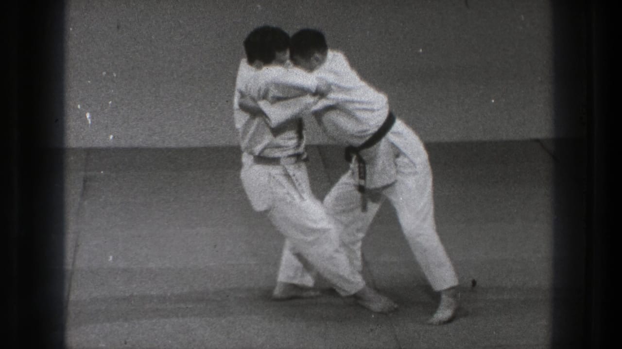 Near the end of the short sequence, one practitioner turns through the technique while the other remains held close on the matted floor.