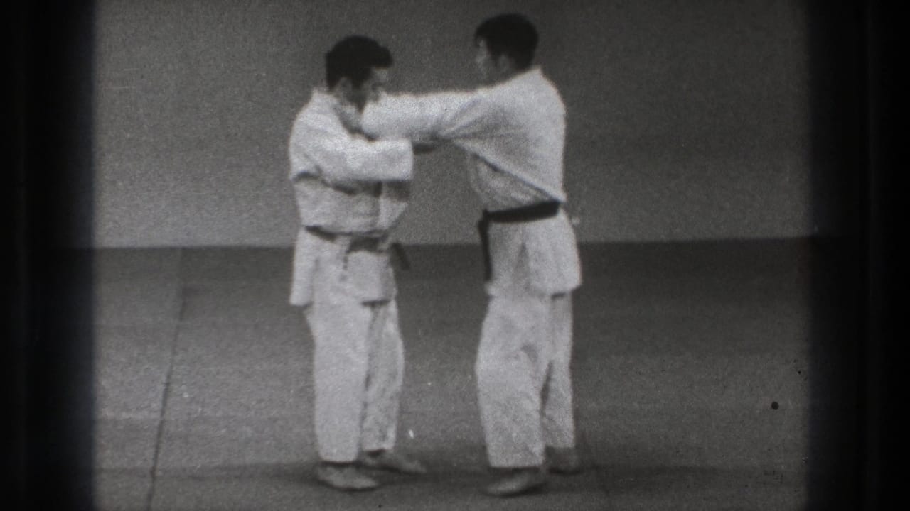 The black-belt practitioner extends both arms toward his partner in a controlled karate defense sequence.