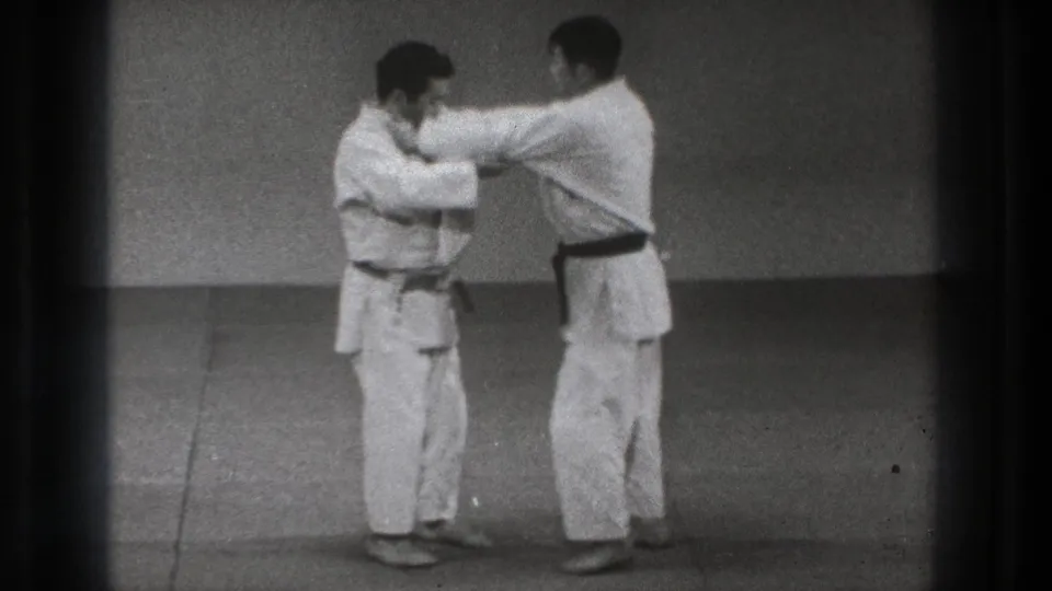 The black-belt practitioner extends both arms toward his partner in a controlled karate defense sequence.