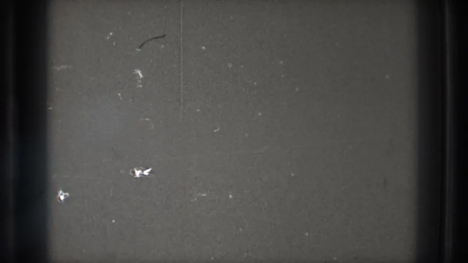 Close view of gray 8mm film material with a dark vertical edge, small dust marks, scratches, and uneven exposure.