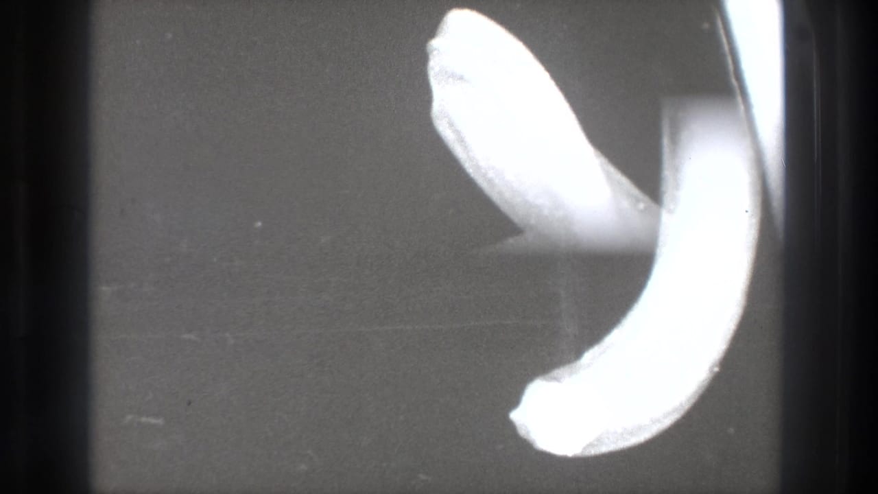 Tokyo 1971 8mm home-movie frame showing a dark field with a bright curved exposure flare and black gate edges.
