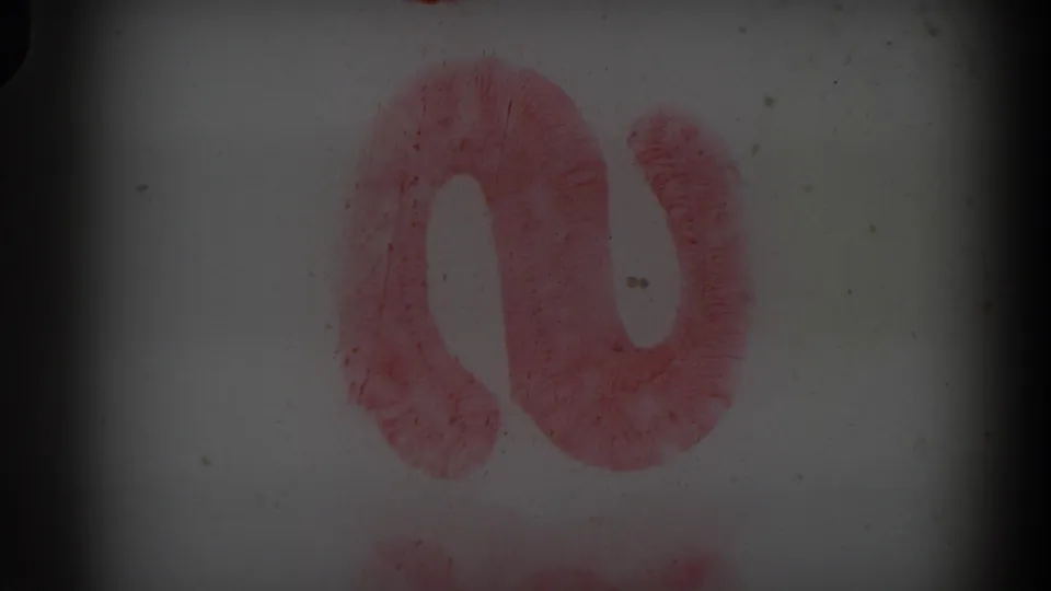 1974 Irvine 8mm frame showing a red painted curved letter-like mark on a white surface with dust and dark gate edges.