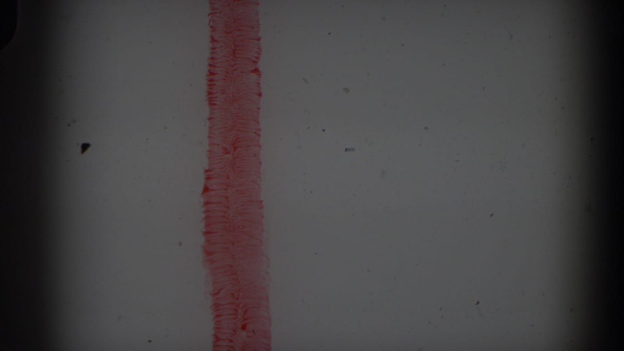 Vertical red painted line on a white surface with film grain and dark edge shadow.