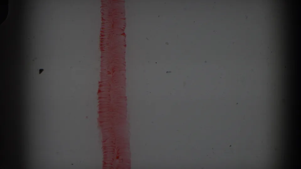 1974 Irvine 8mm close-up of a vertical red painted line on a pale white surface with visible grain and gate shadowing.