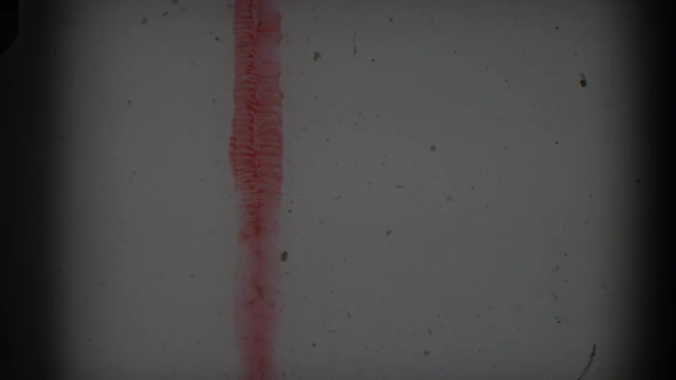 1974 Irvine 8mm frame with a red vertical brush stroke on white paper, showing soft focus, dust, and dark gate edges.