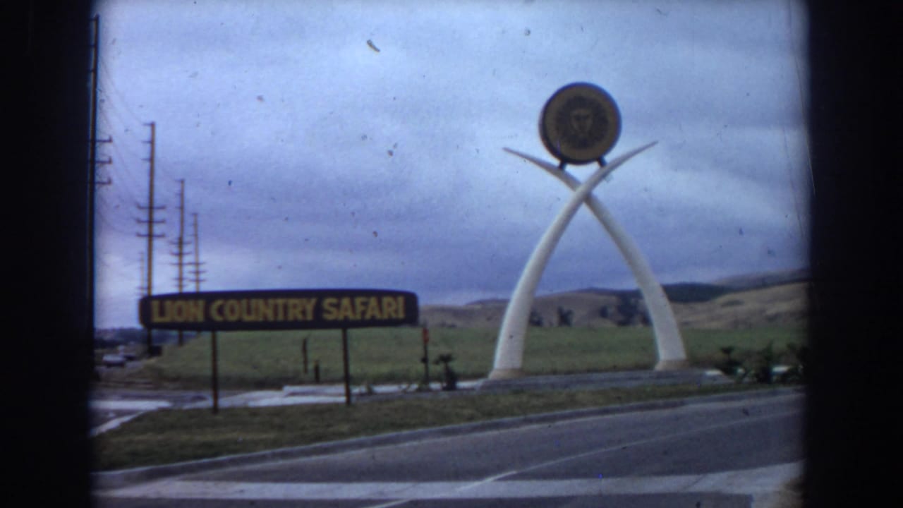1974 8mm view of the Lion Country Safari entrance in Irvine, California, with sign, white arch sculpture, road, utility poles, and cloudy sky.