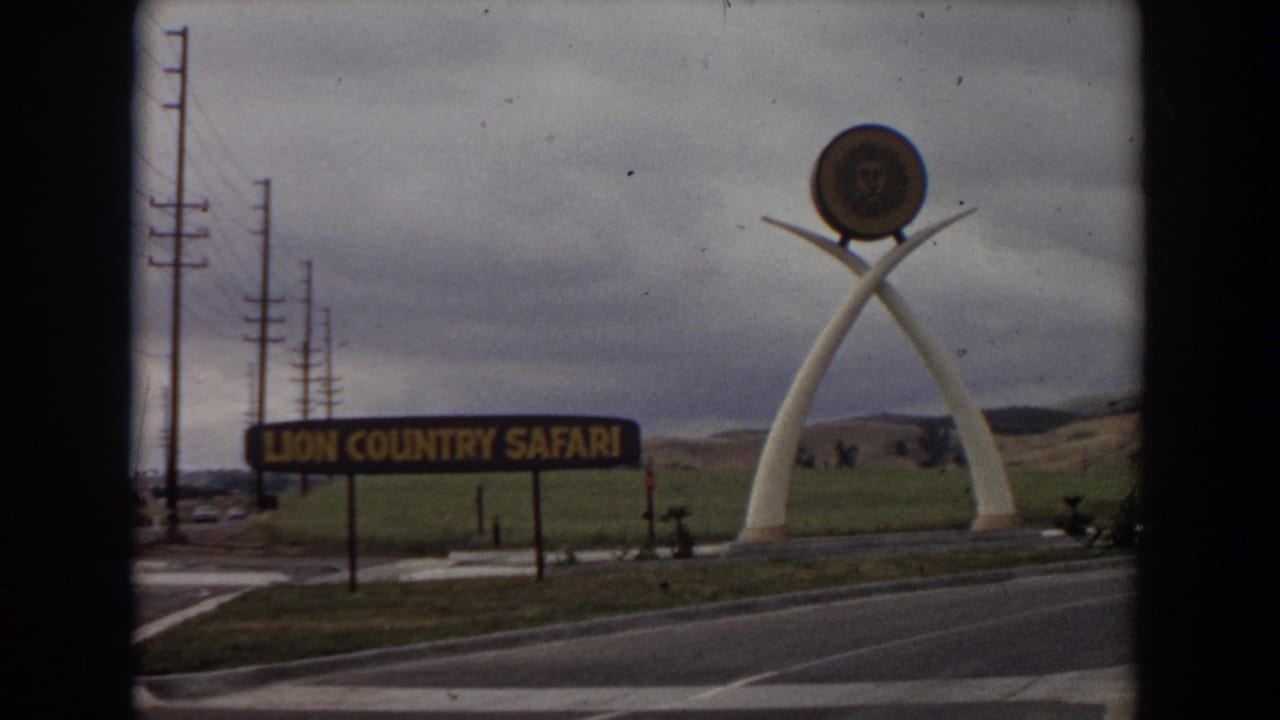 1974 Irvine, California 8mm frame showing the Lion Country Safari sign, white tusk-like sculpture, circular lion emblem, road, utility poles, and grassy hillside.