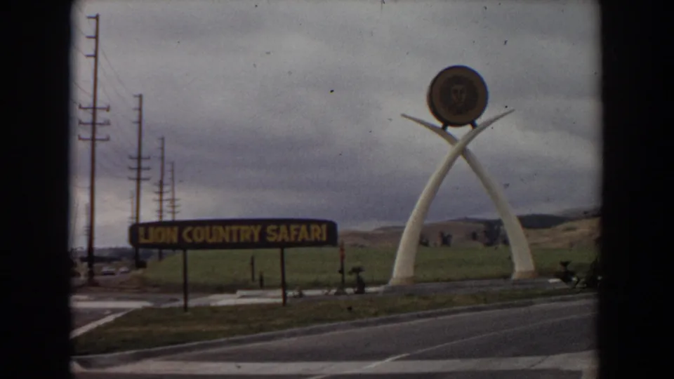1974 Irvine, California 8mm frame showing the Lion Country Safari sign, white tusk-like sculpture, circular lion emblem, road, utility poles, and grassy hillside.