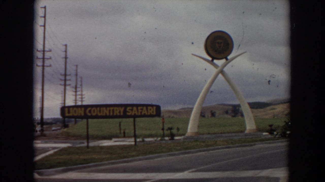 1974 Irvine, California frame with the blue-and-yellow Lion Country Safari sign in front of the roadway and the white arched sculpture with lion emblem beyond it.