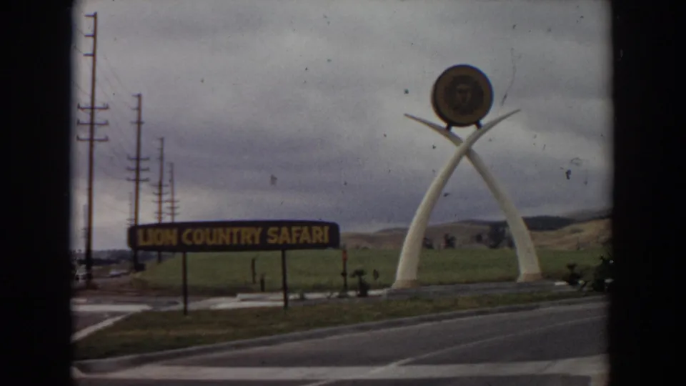 1974 Irvine, California frame with the blue-and-yellow Lion Country Safari sign in front of the roadway and the white arched sculpture with lion emblem beyond it.