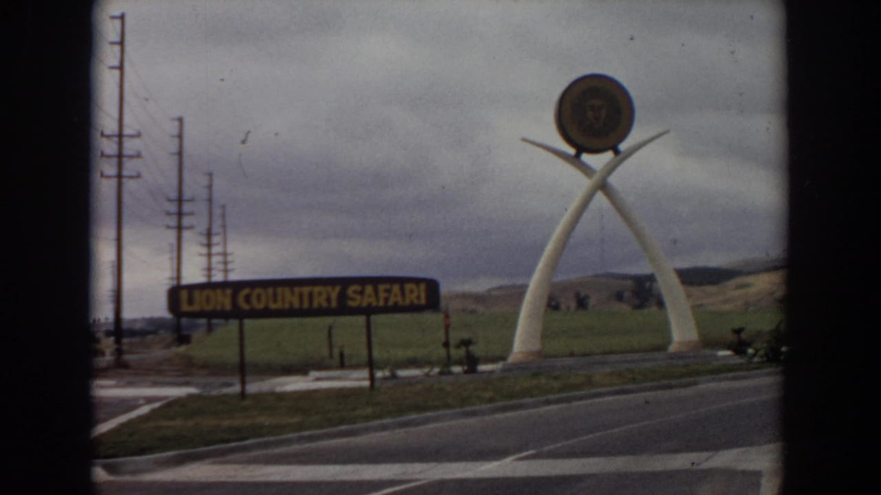 1974 Irvine footage showing the Lion Country Safari entrance sign, white tusk structure, road markings, and utility poles under overcast skies.