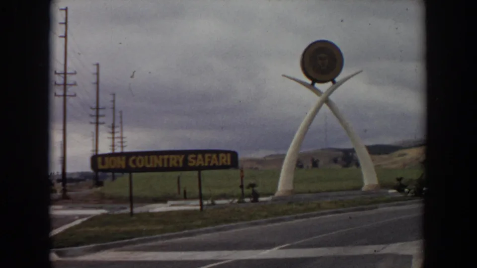 1974 Irvine footage showing the Lion Country Safari entrance sign, white tusk structure, road markings, and utility poles under overcast skies.