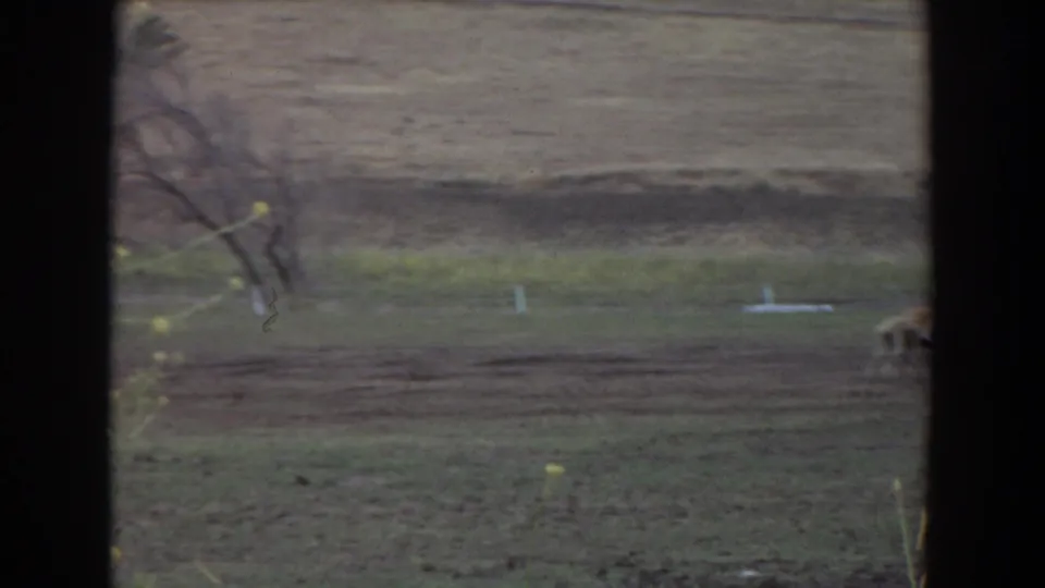 Late frame from the 1974 Irvine clip showing the open enclosure after the camel has moved mostly out of view, with a small animal at far right.