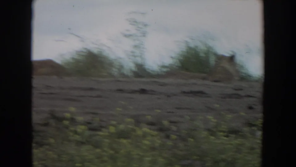 1974 Irvine 8mm frame showing a resting lion on a sloped, sparsely vegetated hillside under pale sky.