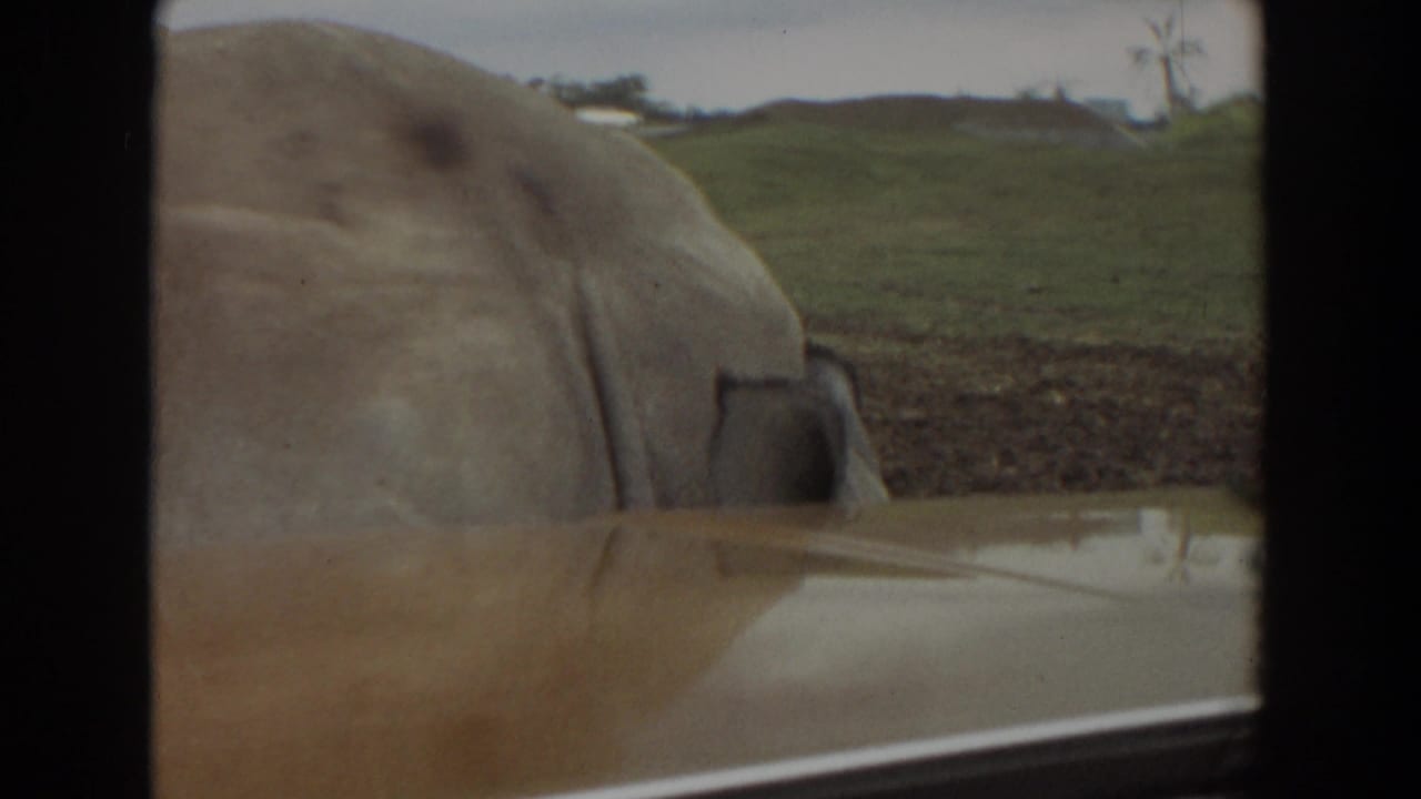 Large elephant beside a car edge in a dry grassy landscape.