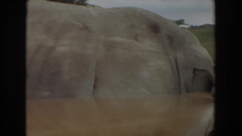 Close 1974 home-movie view of an elephant's grey side beside the vehicle, with sparse grass and low hills beyond.