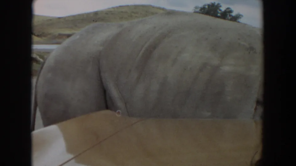 1974 home-movie frame showing the elephant next to the car, with a low green-brown hillside, trees, and soft film grain visible.