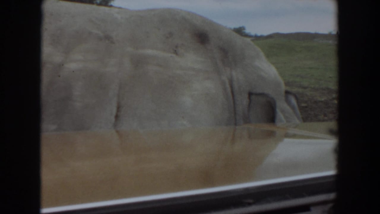 1974 Irvine home-movie frame of a large pig moving past the car, with a grassy slope and muted sky in the background.