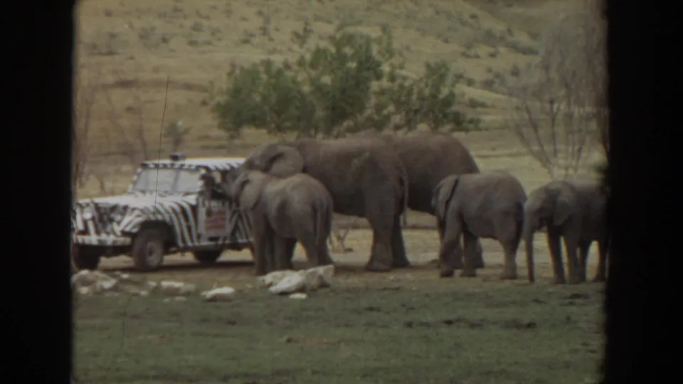 1974 Irvine animal-park frame showing elephants near a zebra-striped safari vehicle in a grassy enclosure with hills behind.