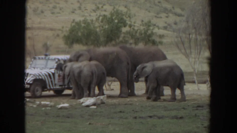 Final 1974 Irvine frame shows elephants beside the zebra-striped safari vehicle, with dry grass, rocks, and trees in the background.