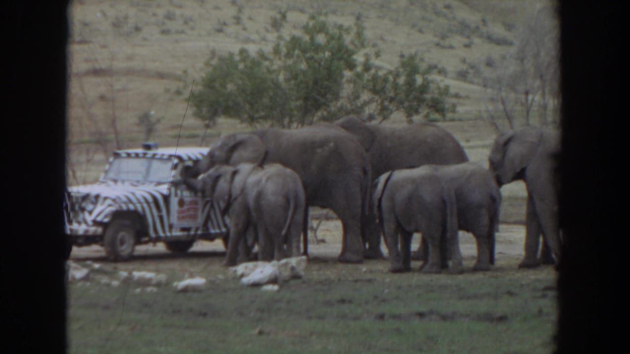 Elephants and calves gathered beside a zebra-striped safari truck in a grassy enclosure.