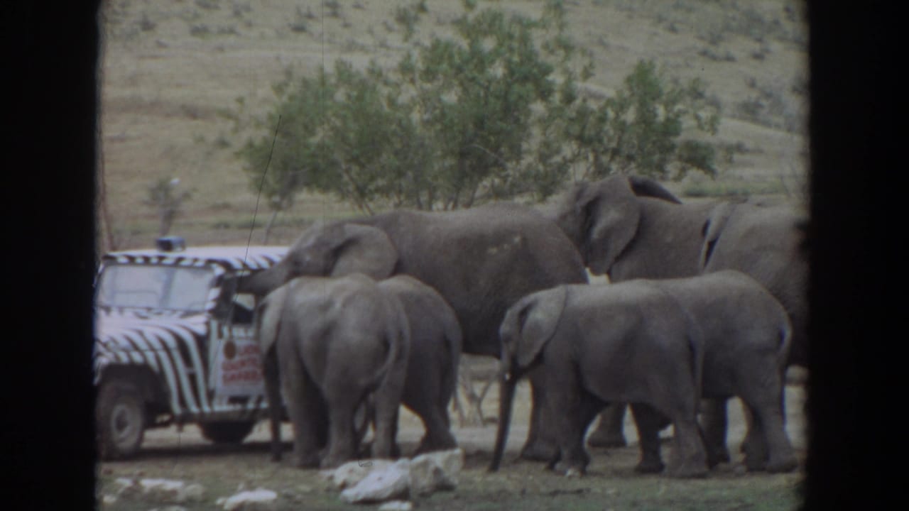 Elephants and calves stand beside a zebra-striped jeep in a dry open area.